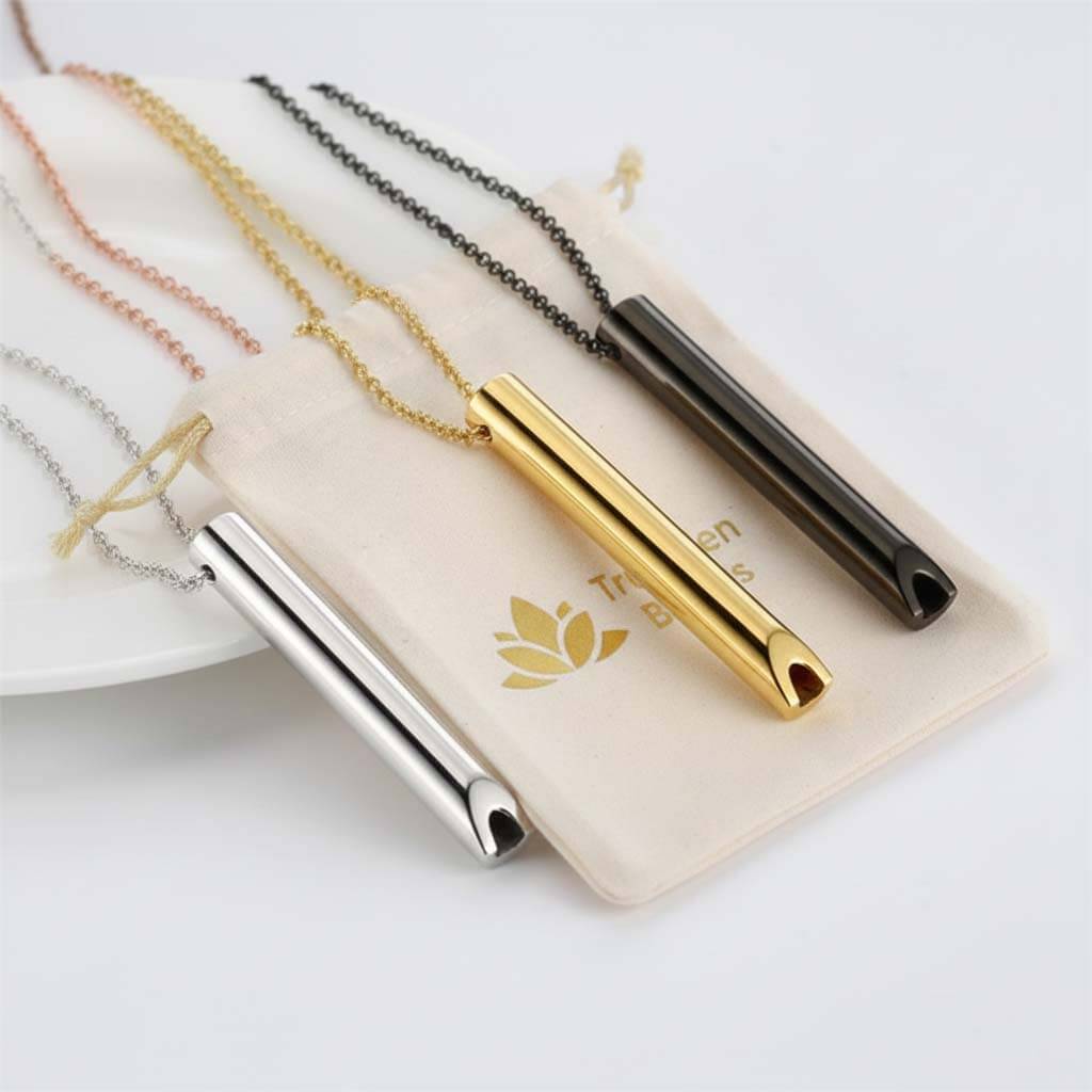Stainless steel whistle pendants in four finishes displayed in TrueZenBeads branded gift bag packaging - minimalist cylindrical jewelry ready for gifting