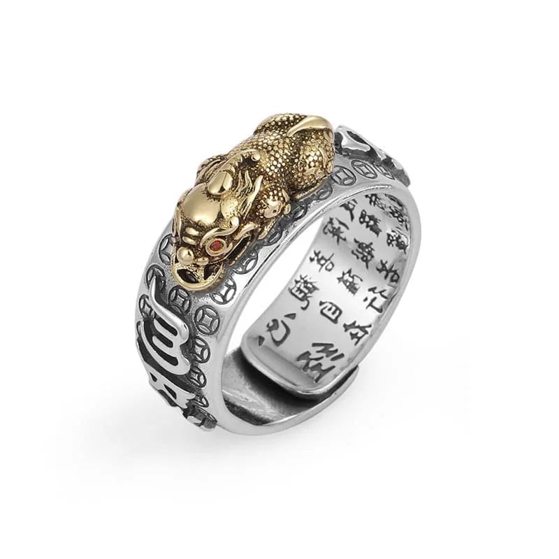 Two Feng Shui Pixiu rings in silver and gold variants laid side by side on wooden surface