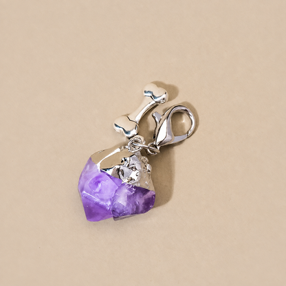 Close-up of purple amethyst crystal point pet charm with silver bone detail